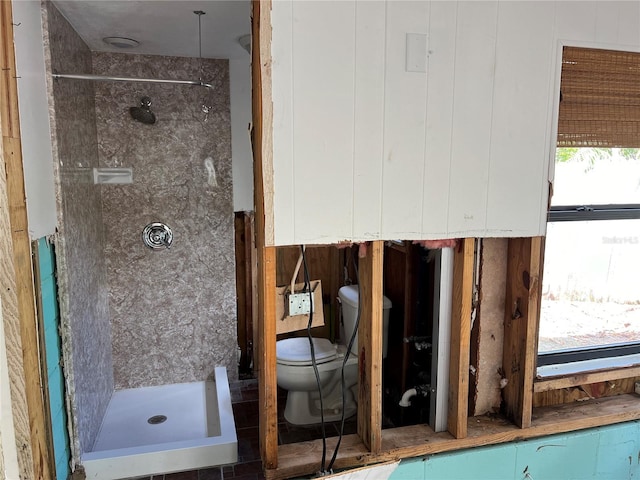 bathroom with plenty of natural light, toilet, and a tile shower