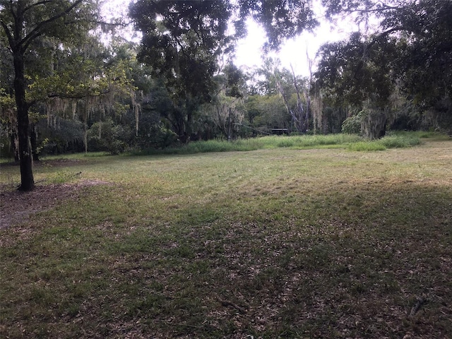 7805 Turkey Creek Rd, Plant City FL, 33567 land for sale