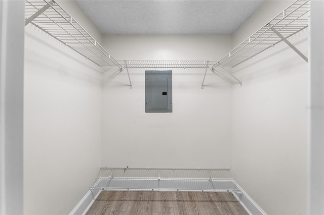 walk in closet featuring electric panel and wood-type flooring