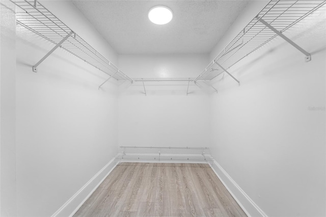 walk in closet featuring hardwood / wood-style flooring