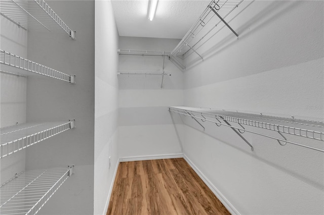 walk in closet featuring hardwood / wood-style flooring