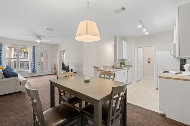 dining space featuring light hardwood / wood-style floors, sink, ceiling fan, and track lighting