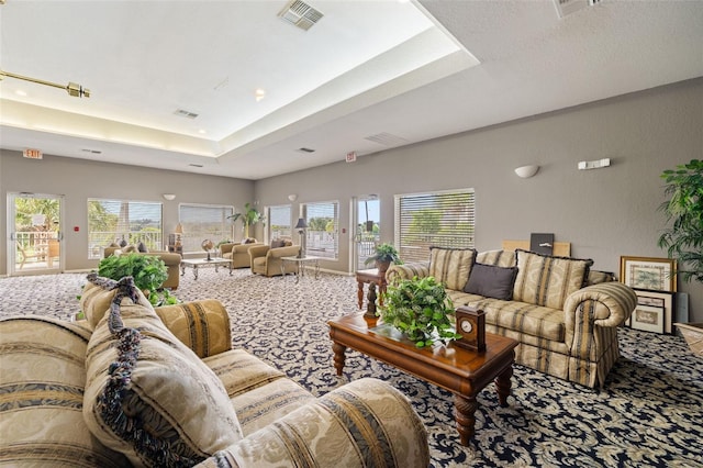 carpeted living room featuring a tray ceiling and plenty of natural light