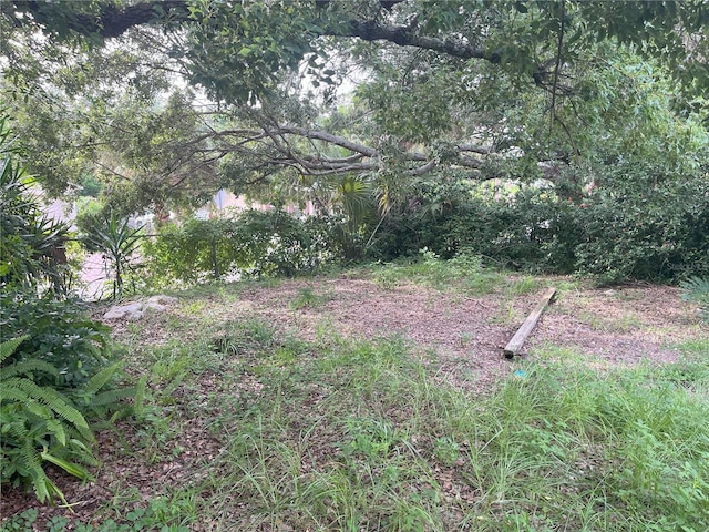 1874 Douglas Ave, Clearwater, FL 33755 - view of yard