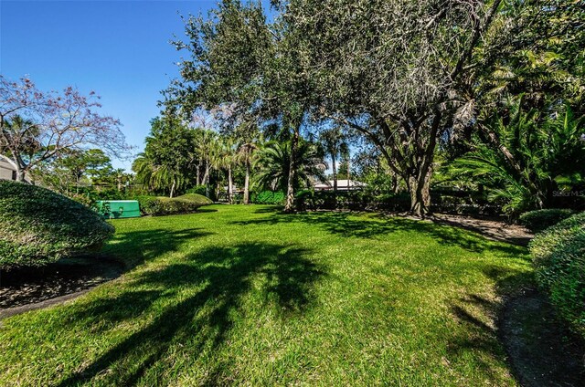 7037 Sunset Dr S Unit 602, South Pasadena, FL 33707 - view of yard