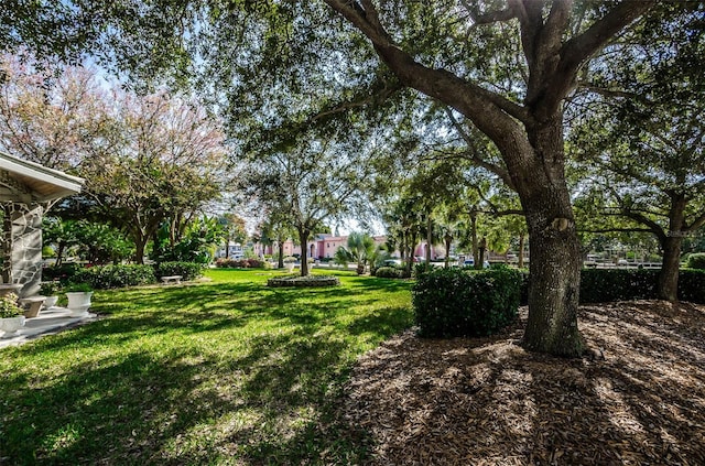 7037 Sunset Dr S Unit 602, South Pasadena, FL 33707 - view of yard