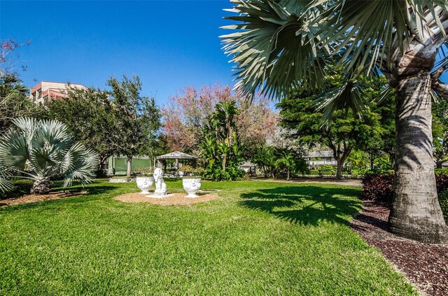 7037 Sunset Dr S Unit 602, South Pasadena, FL 33707 - view of yard featuring a gazebo