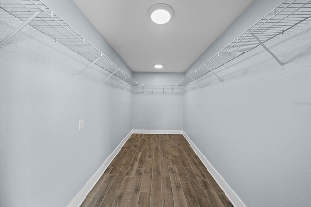 spacious closet featuring wood-type flooring