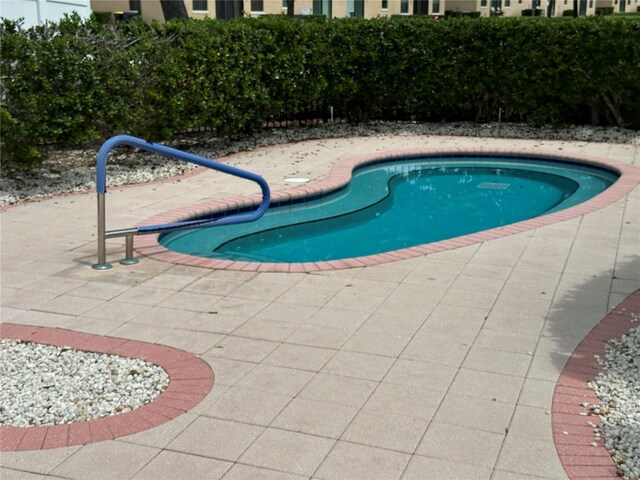 view of pool featuring a patio