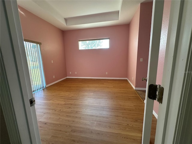 spare room with a raised ceiling and light hardwood / wood-style floors