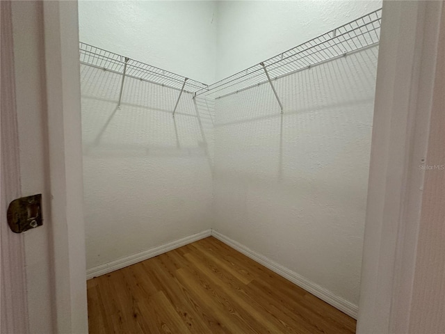 spacious closet featuring wood-type flooring