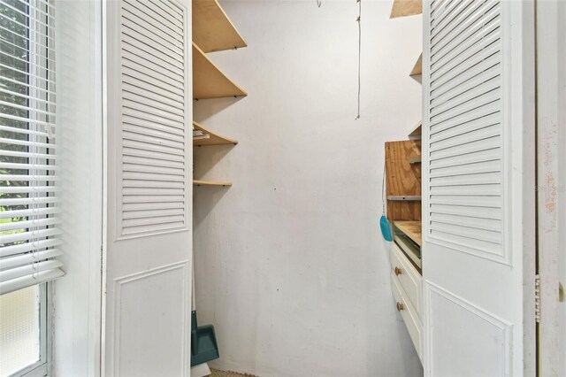 view of walk in closet
