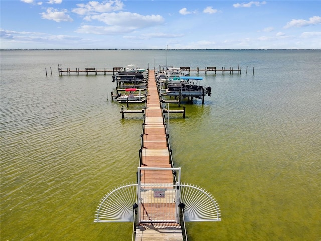 dock area with a water view