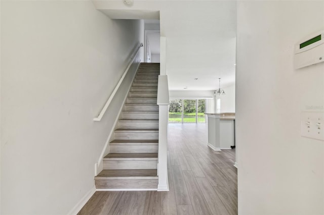 stairs with a chandelier and wood-type flooring