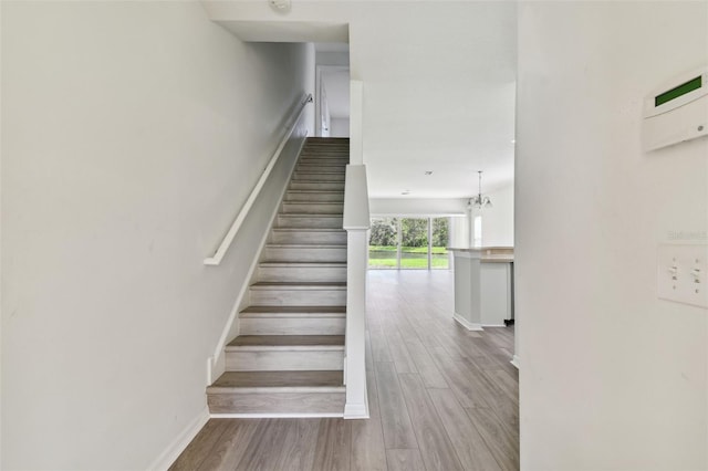 20461 Berrywood Ln, Tampa, FL 33647 - stairway with baseboards and wood finished floors
