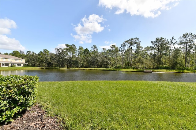 20461 Berrywood Ln, Tampa, FL 33647 - property view of water