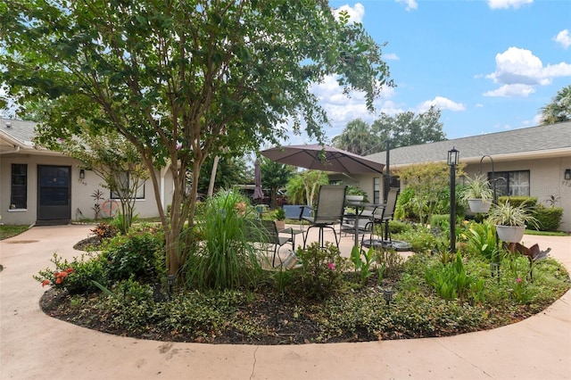 view of yard with a patio