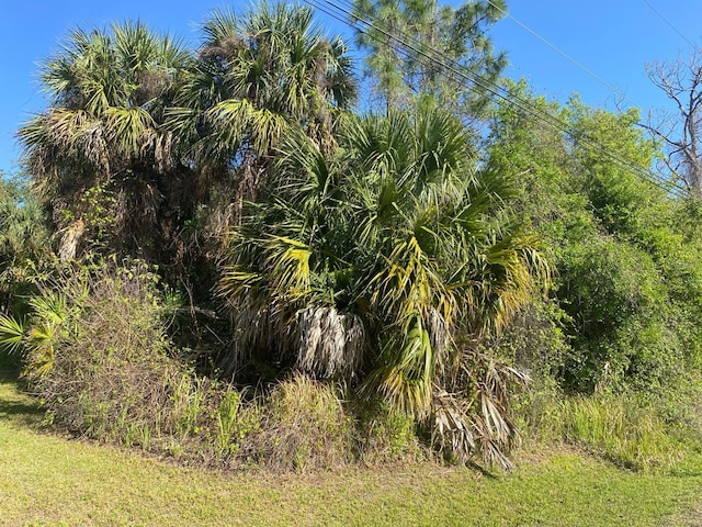 Marcella Ter, North Port FL, 34286 land for sale