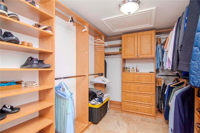 view of spacious closet