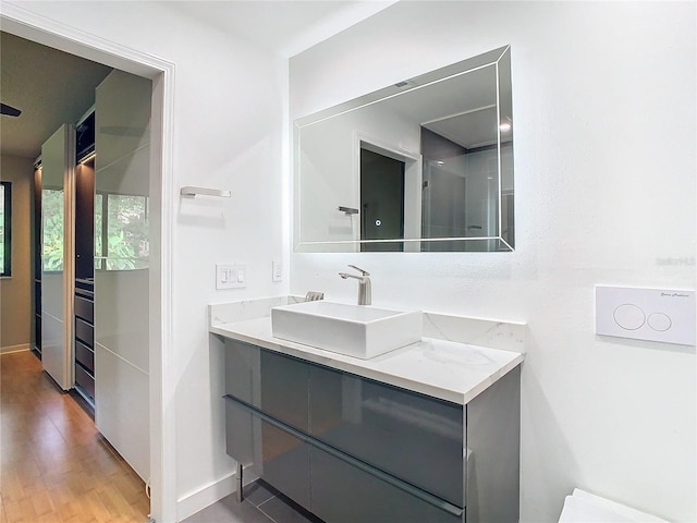 bathroom featuring vanity and wood-type flooring