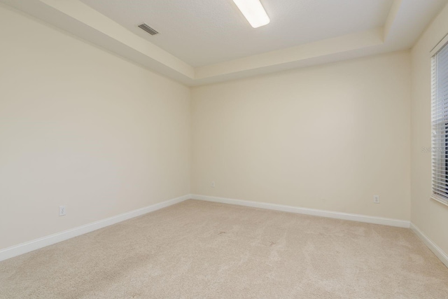 unfurnished room featuring a raised ceiling and light colored carpet