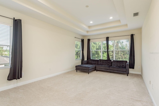 carpeted living room featuring a healthy amount of sunlight and a raised ceiling