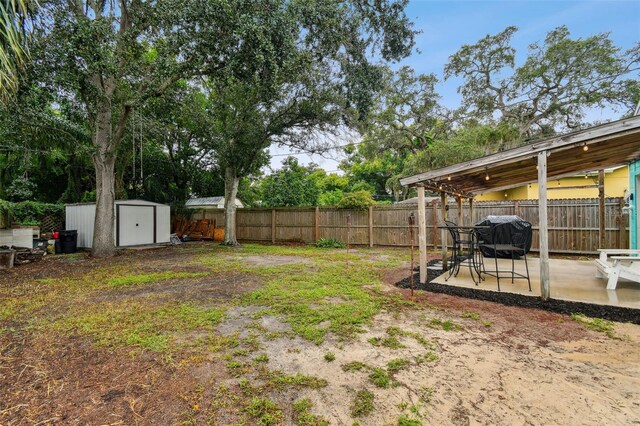 view of yard with a storage shed and a patio area