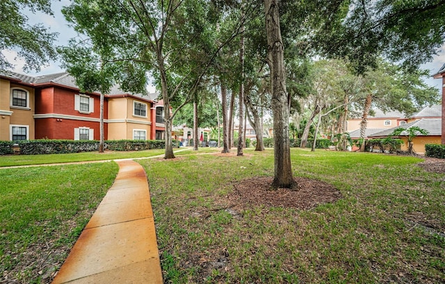 view of community featuring a lawn