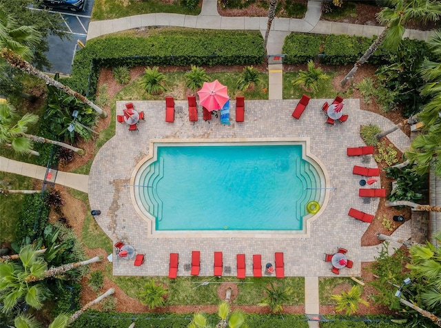 view of swimming pool featuring a patio area