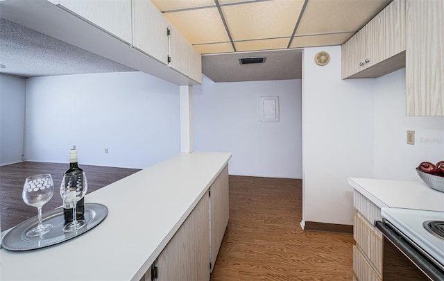 kitchen with hardwood / wood-style floors and a paneled ceiling