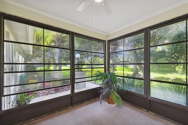 unfurnished sunroom with a wealth of natural light and ceiling fan