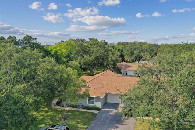 251 Hidden Brook Dr Unit 102C, Palm Harbor, FL 34683 - aerial view featuring a forest view