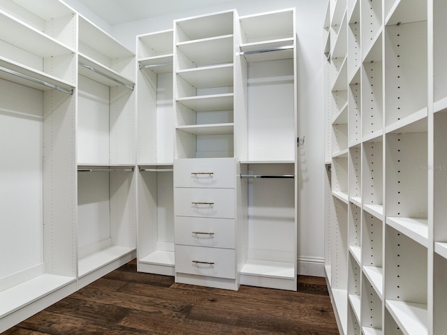 walk in closet with dark hardwood / wood-style flooring