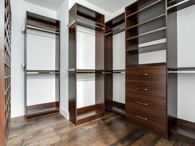 walk in closet with dark hardwood / wood-style floors