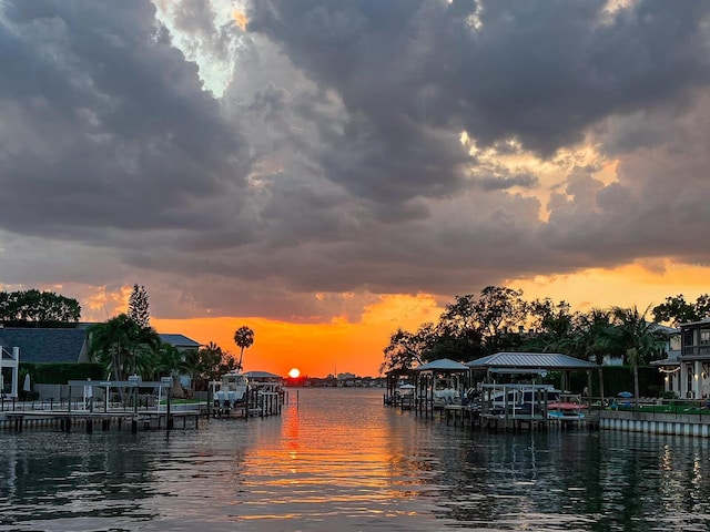 water view featuring a boat dock