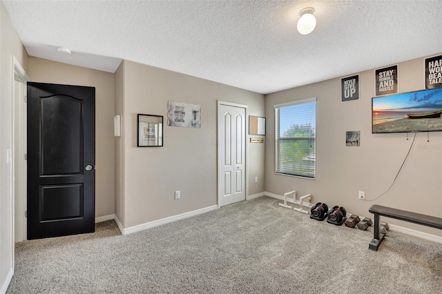 10820 Carloway Hills Dr, Wimauma, FL 33598 - workout room with carpet, baseboards, and a textured ceiling