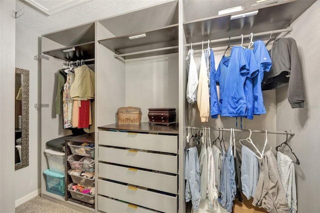 spacious closet with carpet floors