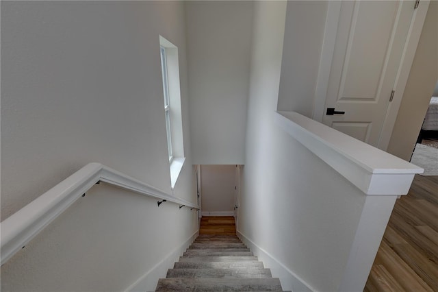 stairway with hardwood / wood-style floors