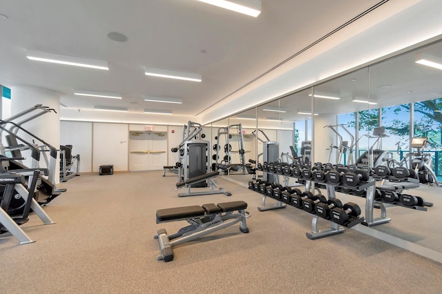 exercise room with expansive windows