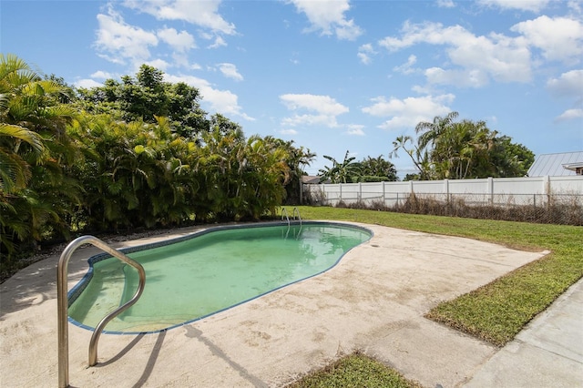 view of swimming pool featuring a patio area and a yard