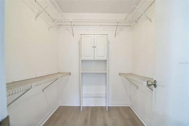 spacious closet featuring light wood-type flooring