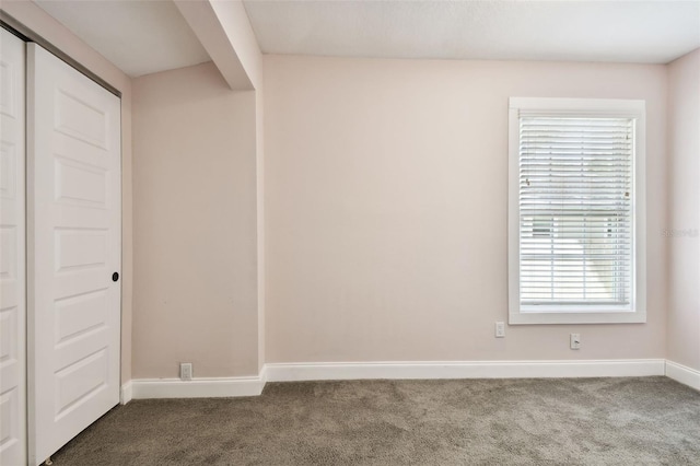 spare room with carpet floors