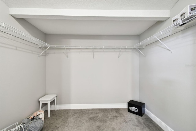 spacious closet featuring carpet flooring