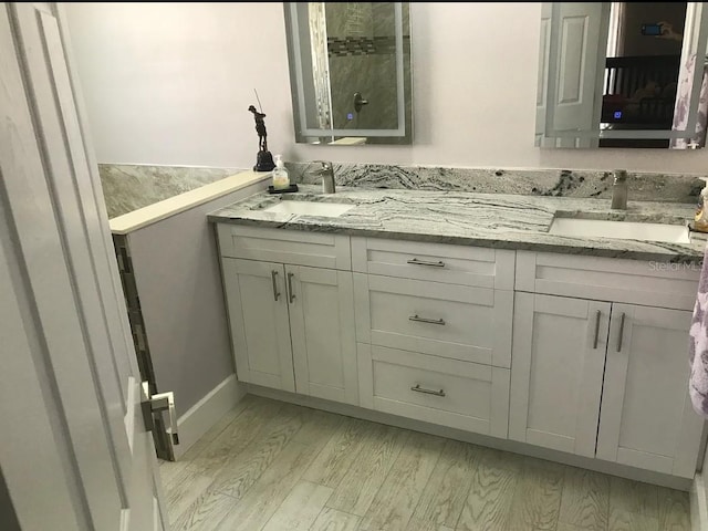 bathroom with wood-type flooring and vanity