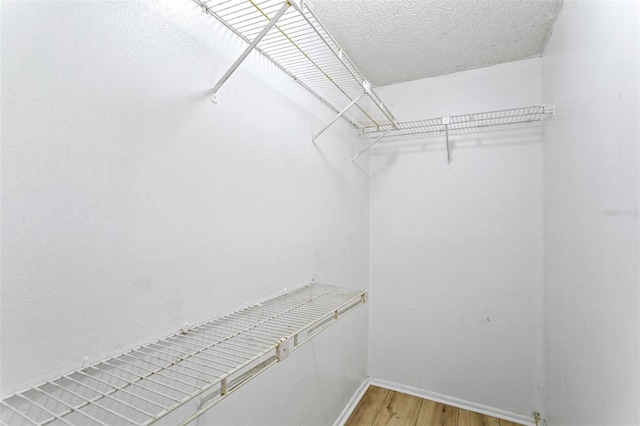 spacious closet featuring light wood finished floors