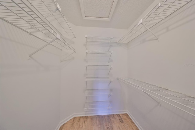 spacious closet featuring light wood-type flooring