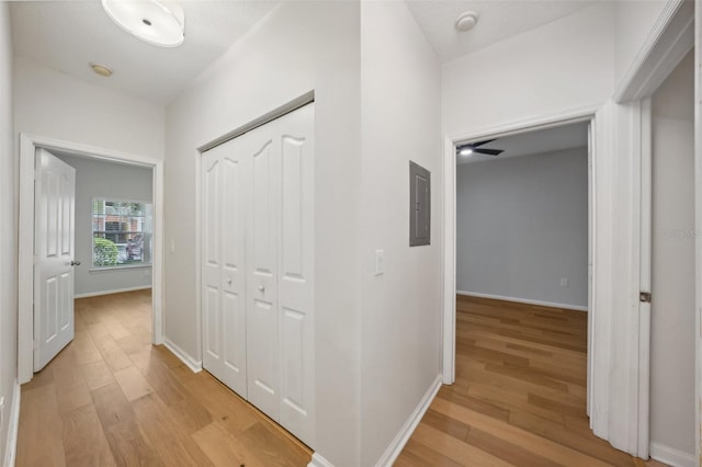 hallway with electric panel and light hardwood / wood-style flooring