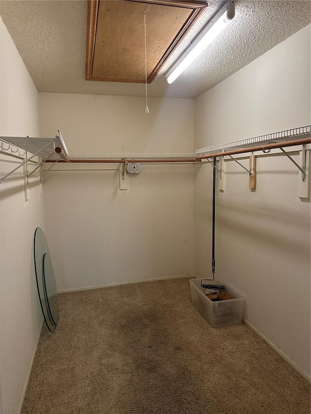 walk in closet featuring carpet floors