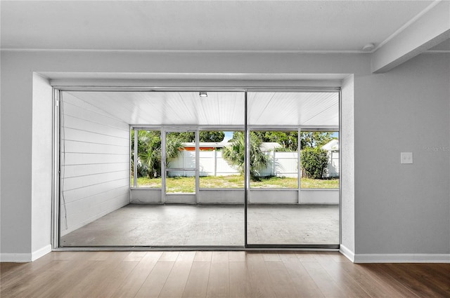 entryway featuring hardwood / wood-style floors and a healthy amount of sunlight