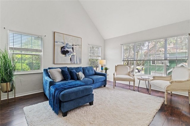 living room with high vaulted ceiling and dark hardwood / wood-style floors